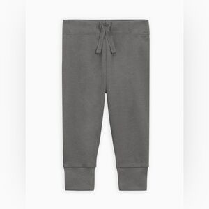 2T Colored Organics Gray Jogger Pants